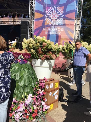 Фестиваль «Белгород в цвету»