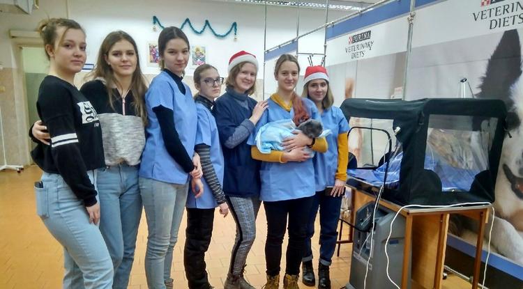 Первая операция юных генетиков Первая операция юных генетиков