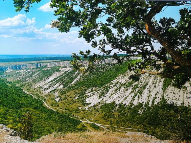 В день фотографии природы делимся лучшими фотографиями конкурса «Юность России»
