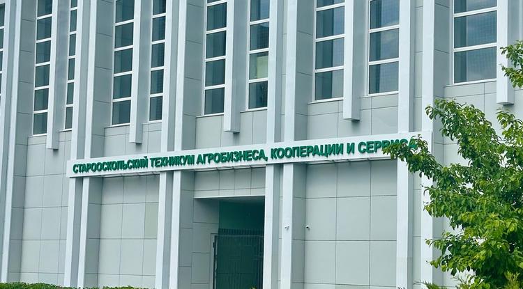 Дисциплинарное взыскание – это средство формирования законопослушного поведения Дисциплинарное взыскание – это средство формирования законопослушного поведения