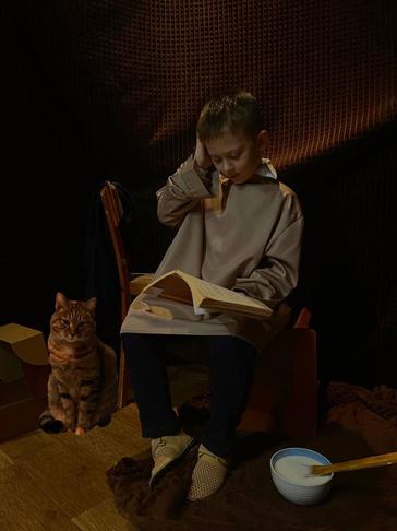 Питомцы — герои картин, книг, фильмов