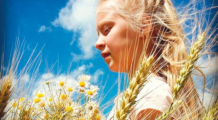 Летний солнечный приветик!