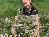 Солнечные фотографии - Изображение 15
