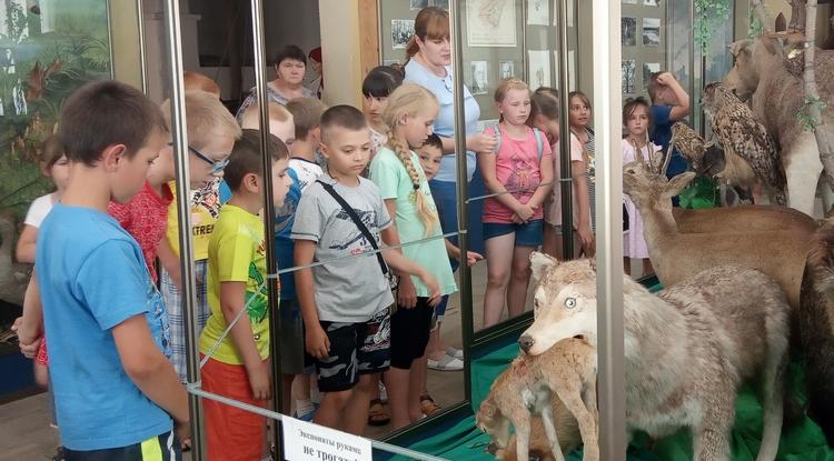Мечты сбылись Мечты сбылись