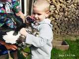 Летние моменты - Изображение 1