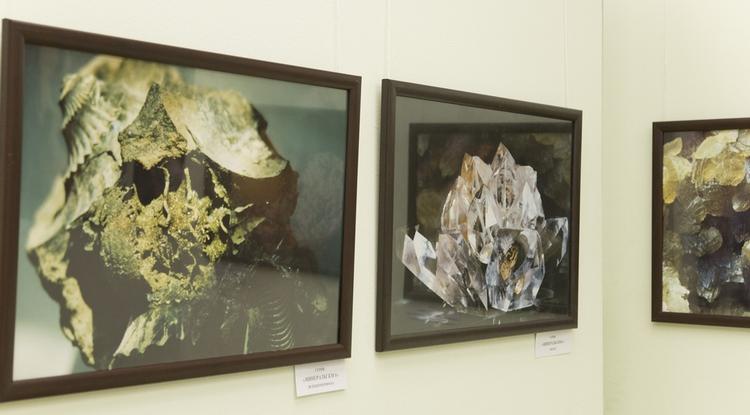 Выставка макрофотографий Юрия Шкуты работает в галерее им. Собровина