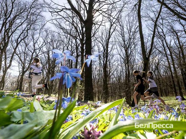 Около 100 юных спортсменов приняли участие в кроссе на призы газеты «Родина» в Ивне