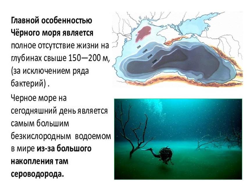 Карта рельефа дна черного моря