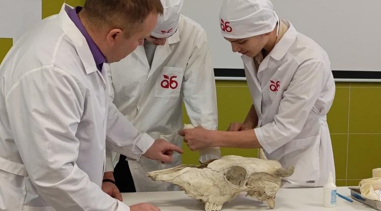 Белгородские школьники продолжают участвовать в профессиональных пробах