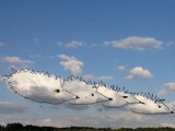 Лесные животные в облаках - Изображение 2