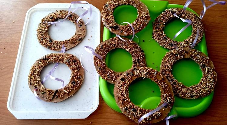 Лакомство для зимующих птиц