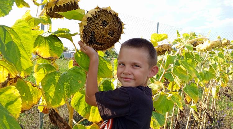 «Большая переменка» подвела итоги конкурса «Остаться бы в лете-2025»