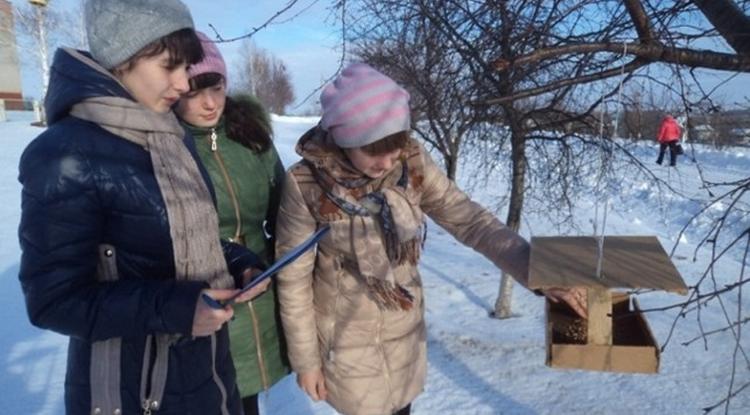 Помогаем птицам зимой