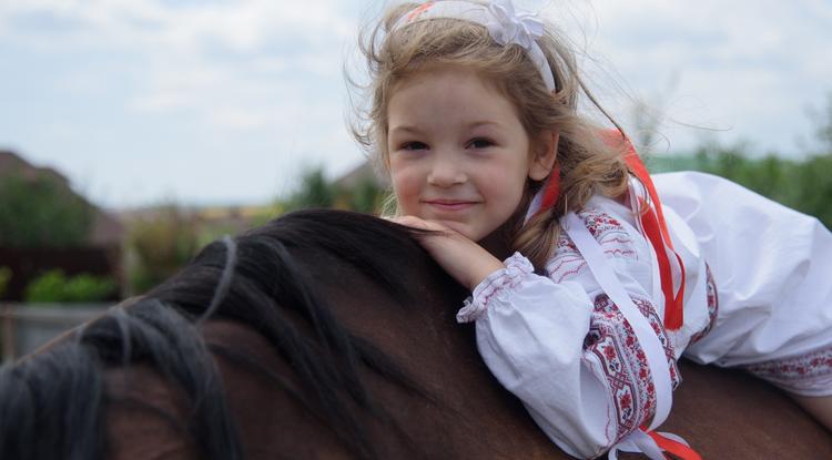 Конь из моего детства