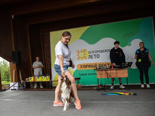 В парке Победы Белгорода прошёл первый фестиваль «Моё собачье дело»