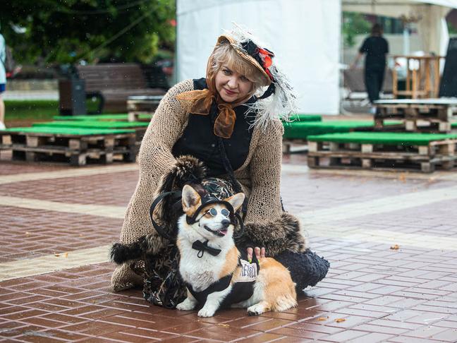 В парке Победы Белгорода прошёл первый фестиваль «Моё собачье дело»