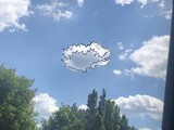 Лесные животные в облаках - Изображение 12