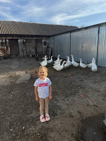 Лета много не бывает