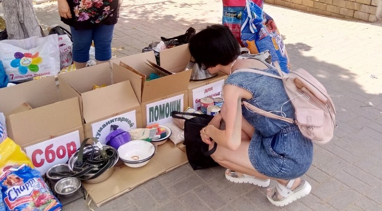 В Белгороде прошла благотворительная акция «День счастливой собаки» В Белгороде прошла благотворительная акция «День счастливой собаки»