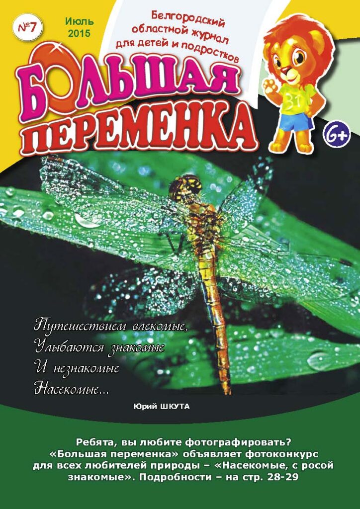«Большая переменка», №7