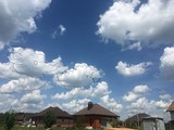 Лесные животные в облаках - Изображение 11