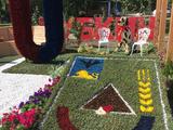 Фестиваль «Белгород в цвету» - Изображение 1