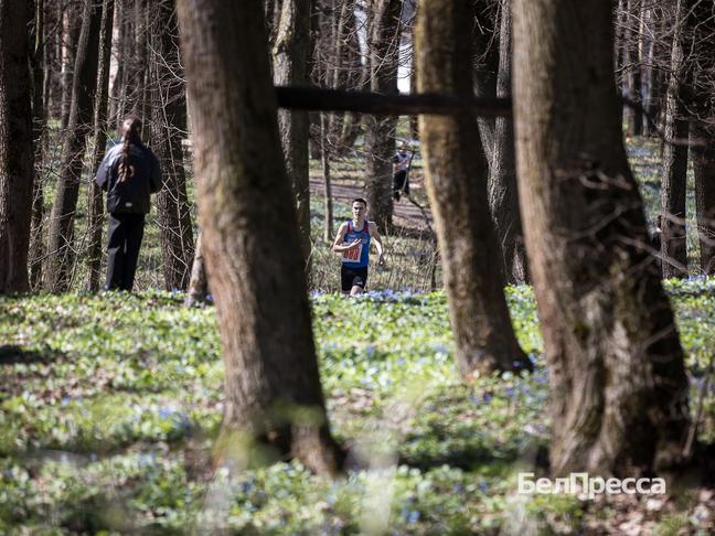 Около 100 юных спортсменов приняли участие в кроссе на призы газеты «Родина» в Ивне
