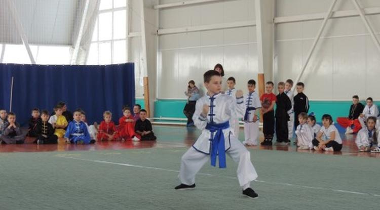 В Волоконовском районе прошёл открытый чемпионат и первенство Белгородской области по традиционному ушу