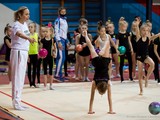Олимпийские чемпионы провели мастер-классы для белгородских гимнастов - Изображение 14