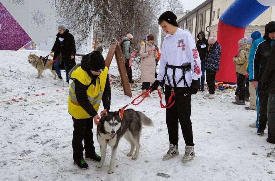 Фото: Маргарита Грачёва Хаски-trail впервые прошёл в Белгороде - Изображение 11