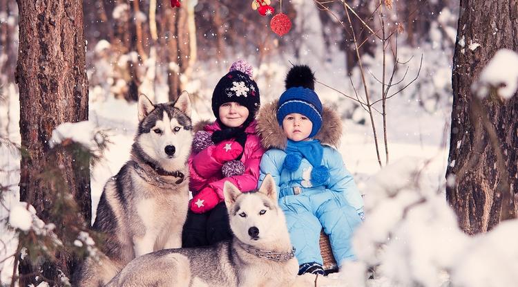 Белгородских школьников приглашают поучаствовать в конкурсе «Зимний фейерверк-2021»