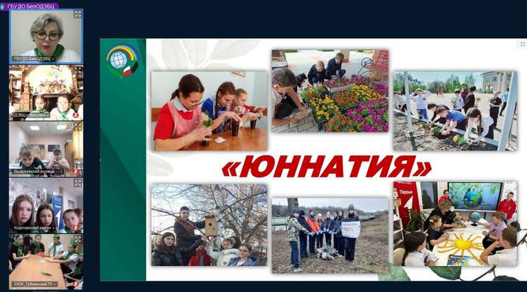 Путешествие по стране Юннатии