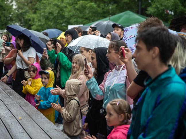 В парке Победы Белгорода прошёл первый фестиваль «Моё собачье дело»