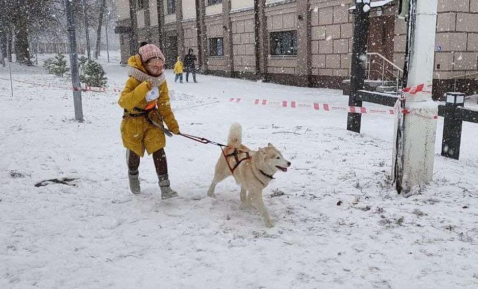 Фото: Маргарита Грачёва Хаски-trail впервые прошёл в Белгороде - Изображение 4