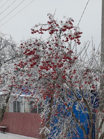 Край родной