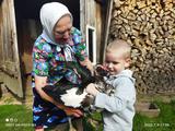 Летние моменты - Изображение 3