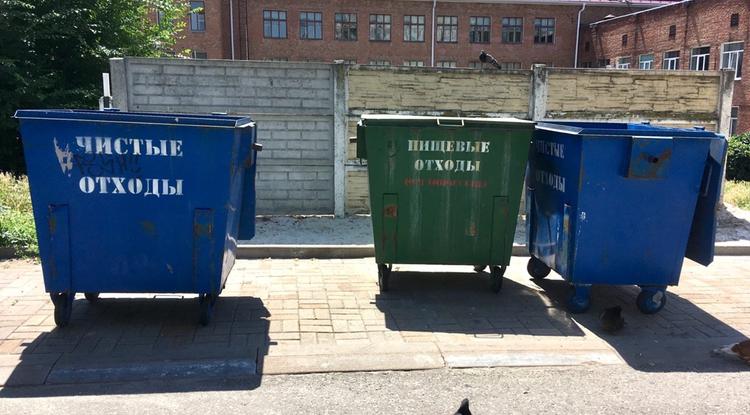 Лето с пользой Лето с пользой