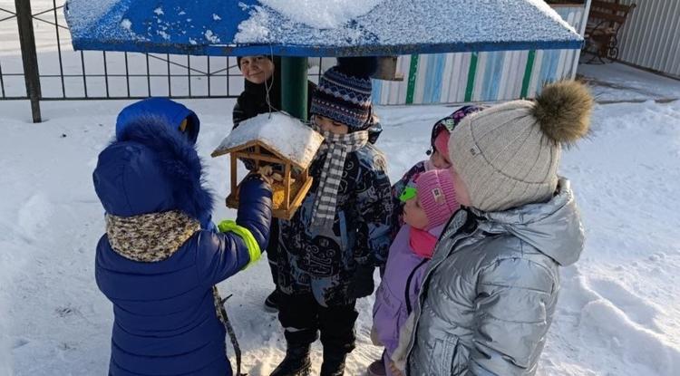В Прохоровском округе проходит экологическая акция «Птицы – наши друзья»