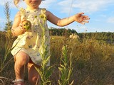 Летняя галерея - Изображение 14