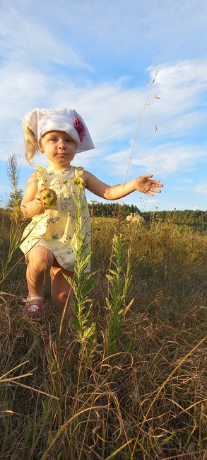«Родные просторы» / Фото: Мария Зубко, воспитанница детского сада с. Бехтеевка Корочанского района Летняя галерея - Изображение 14