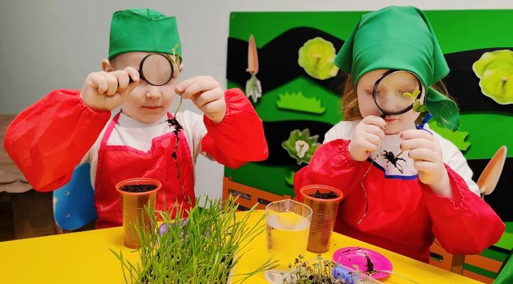 «От зёрнышка до хлебушка»