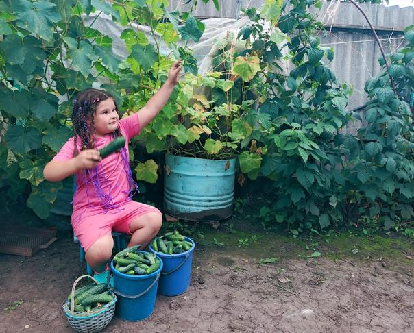 Лета много не бывает