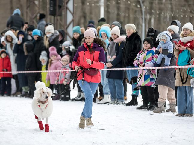 В Белгороде прошёл семейный забег «Хаски-Trail»