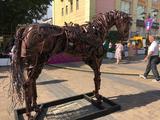 Фестиваль «Белгород в цвету» - Изображение 19
