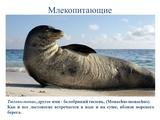 Международный день Чёрного моря - Изображение 12