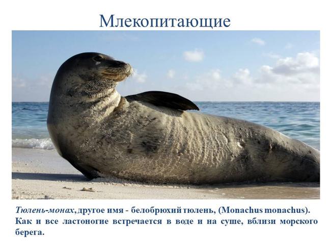 Международный день Чёрного моря