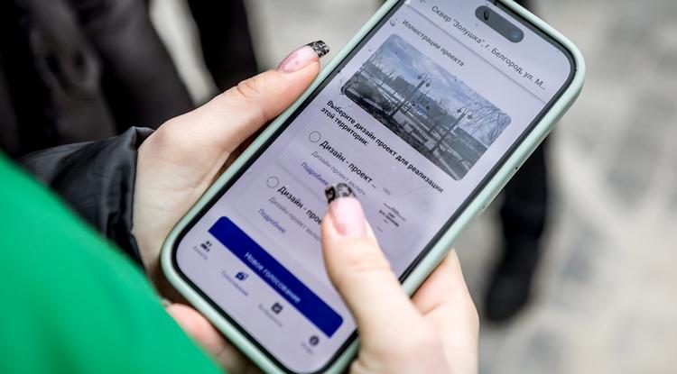 Белгородцы выбирают лучшие дизайн-проекты по благоустройству