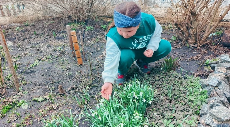 В Прохоровском округе стартовала экологическая акция