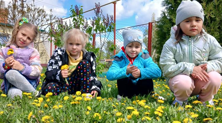 Одуванчик – солнечный цветок!