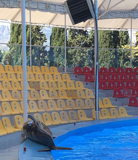 Фото: из личного архива Александры Коротких Летнее вдохновение - Изображение 3
